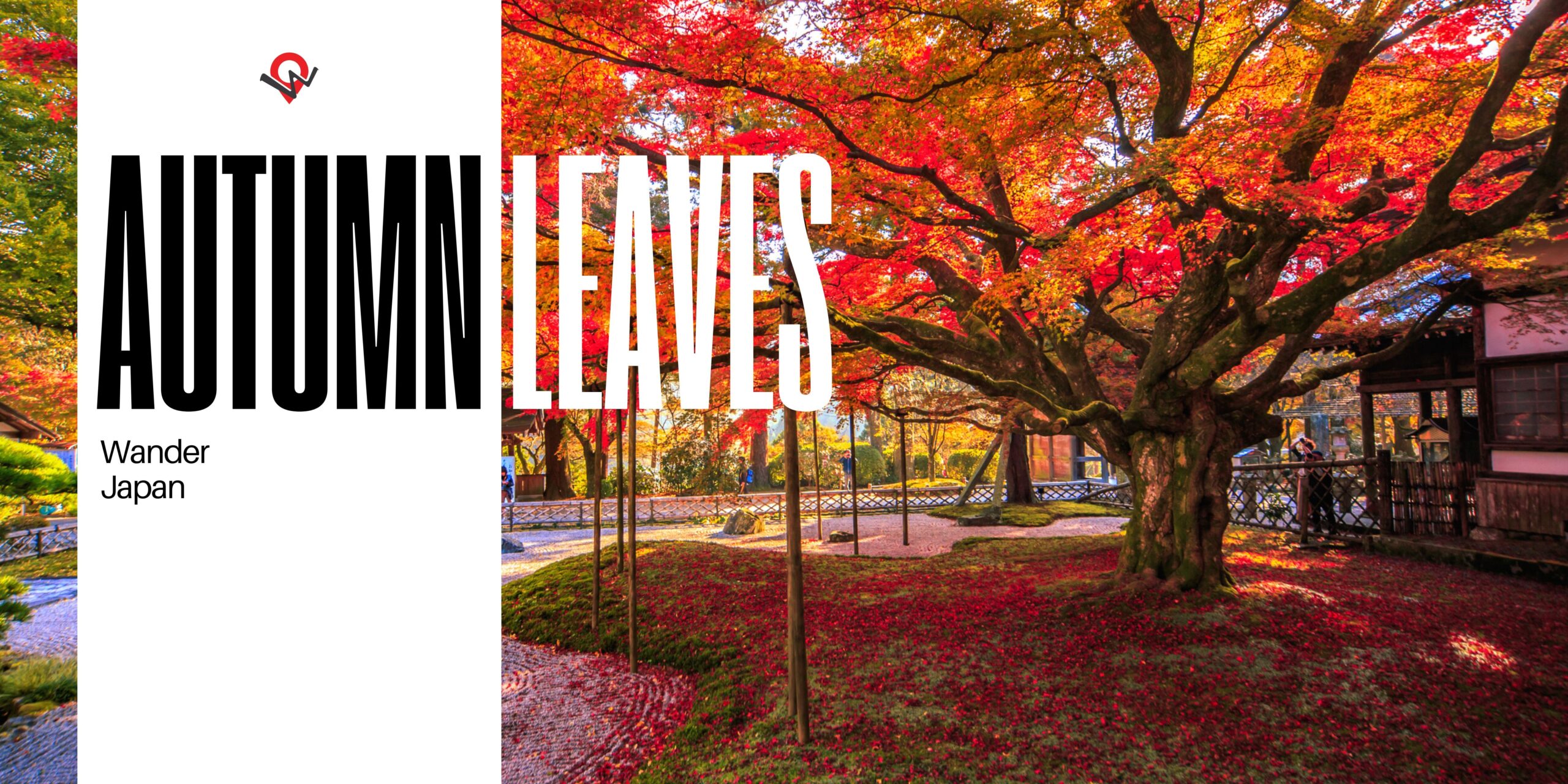 WILLER ACROSS:インバウンド向け体験コンテンツ「Wander Japan」 日本の紅葉を堪能できる”1-Day Autumn Ｌeaves Tour”が開催決定！